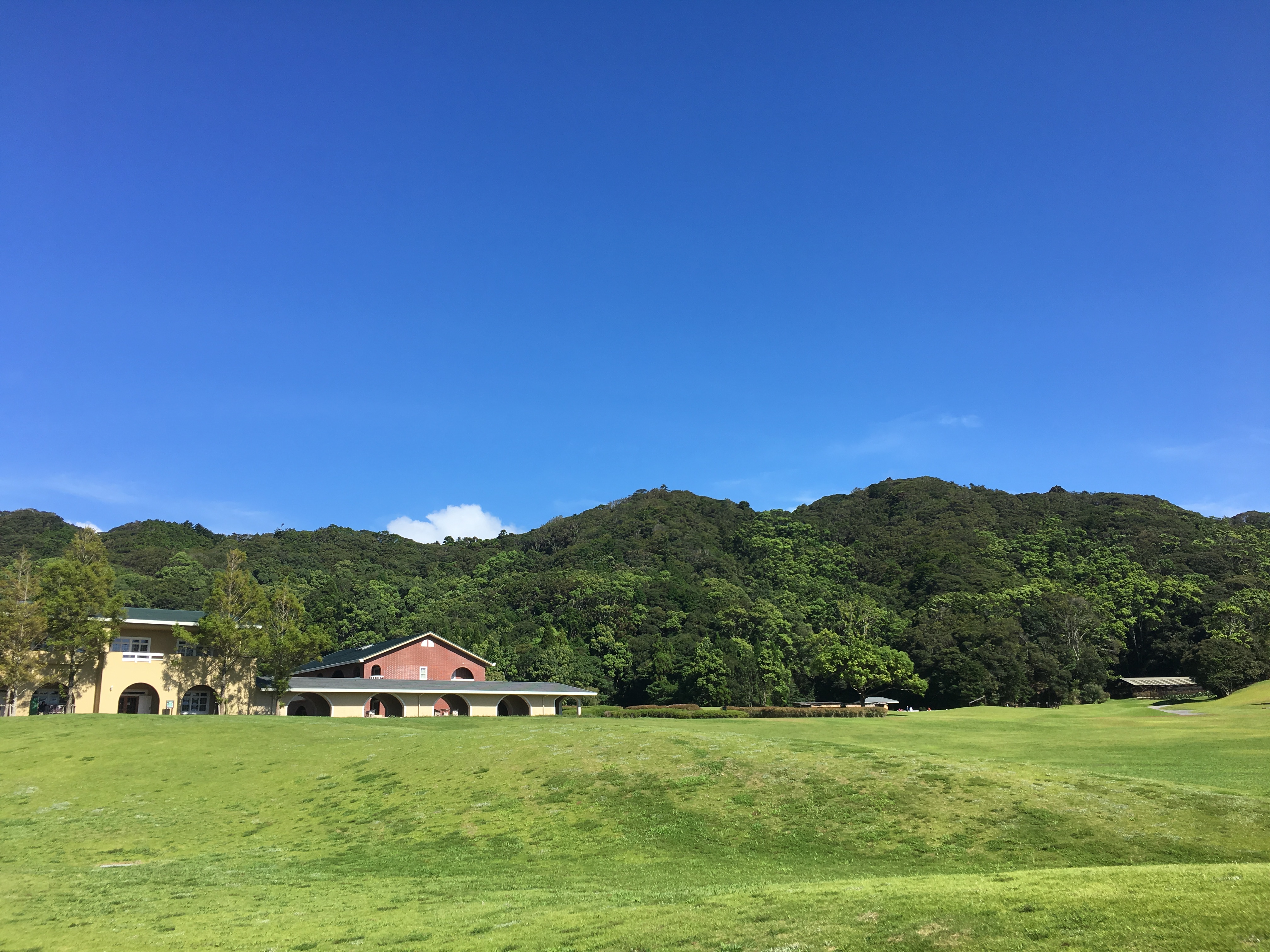 ひかりのアバター画像